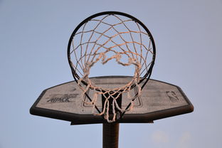 乐鱼体育在线网站-NBA联盟与高校篮球合作开发机制研究，大学篮球联盟叫什么