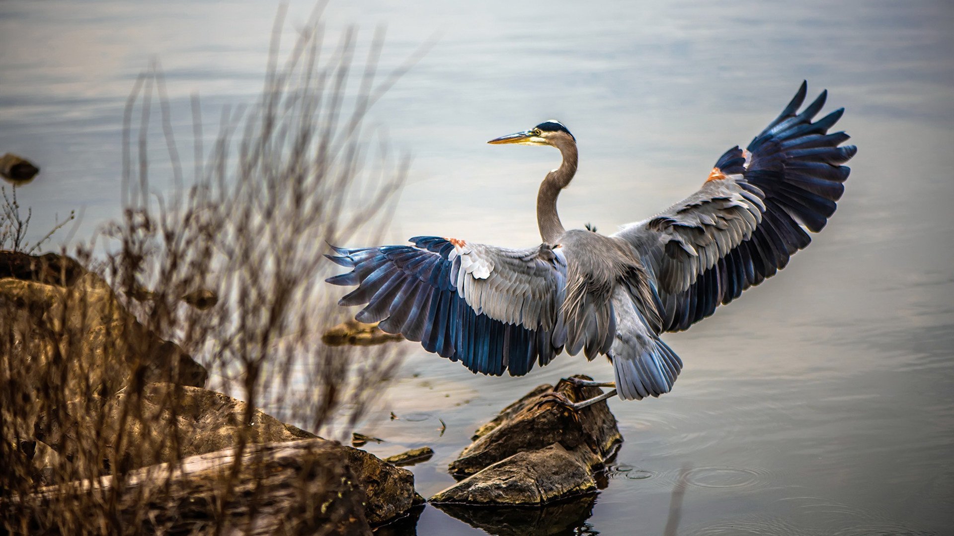 CBA球队全面提升伤病防护系统,cba伤病集锦