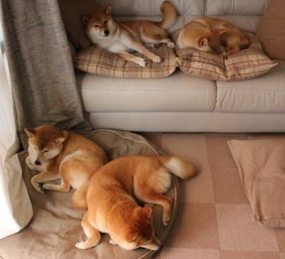 中国三人篮球男队战术执行有序,中国三人篮球男篮赛程