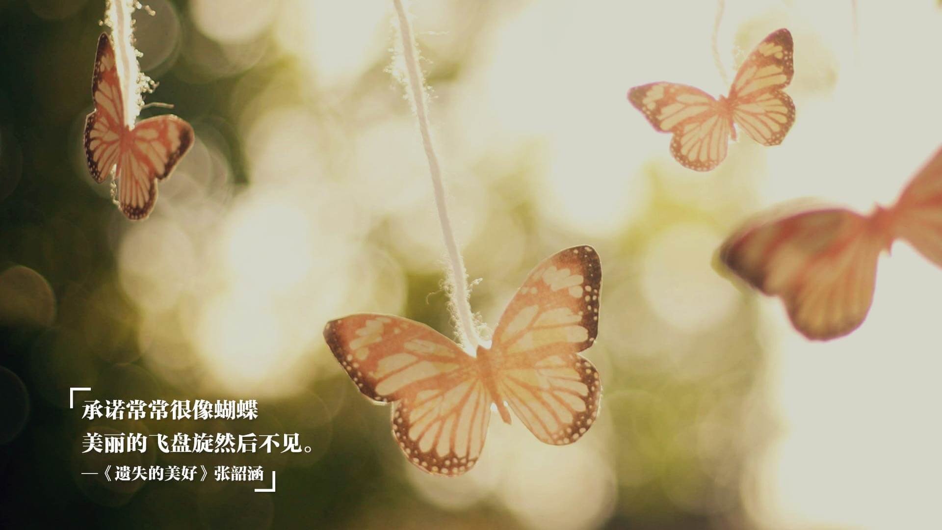 体育新闻中心推动体育短视频内容创新发展，体育新闻报道视频